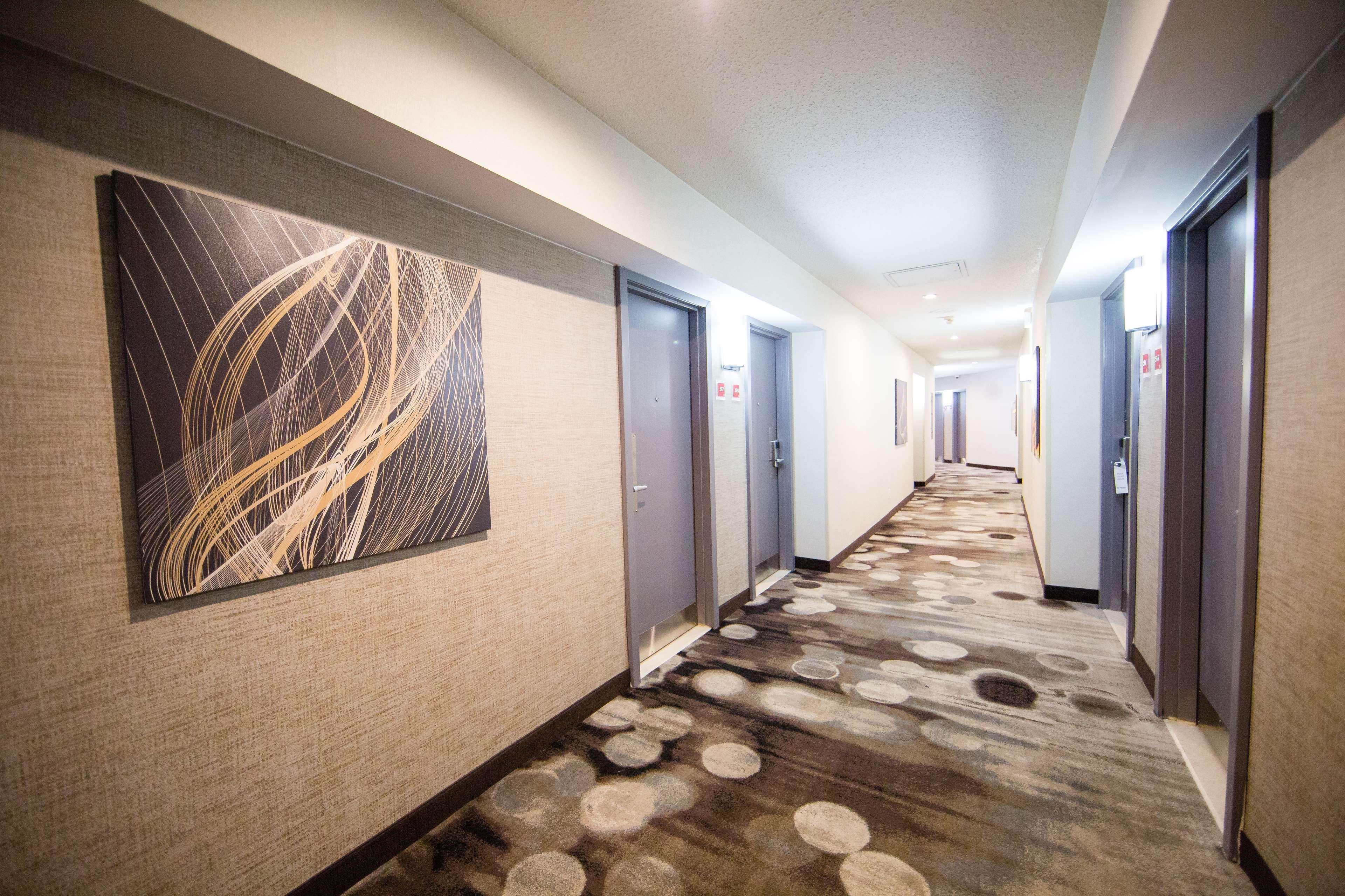 Best Western Plus Ottawa Kanata Hotel And Conference Centre Extérieur photo
